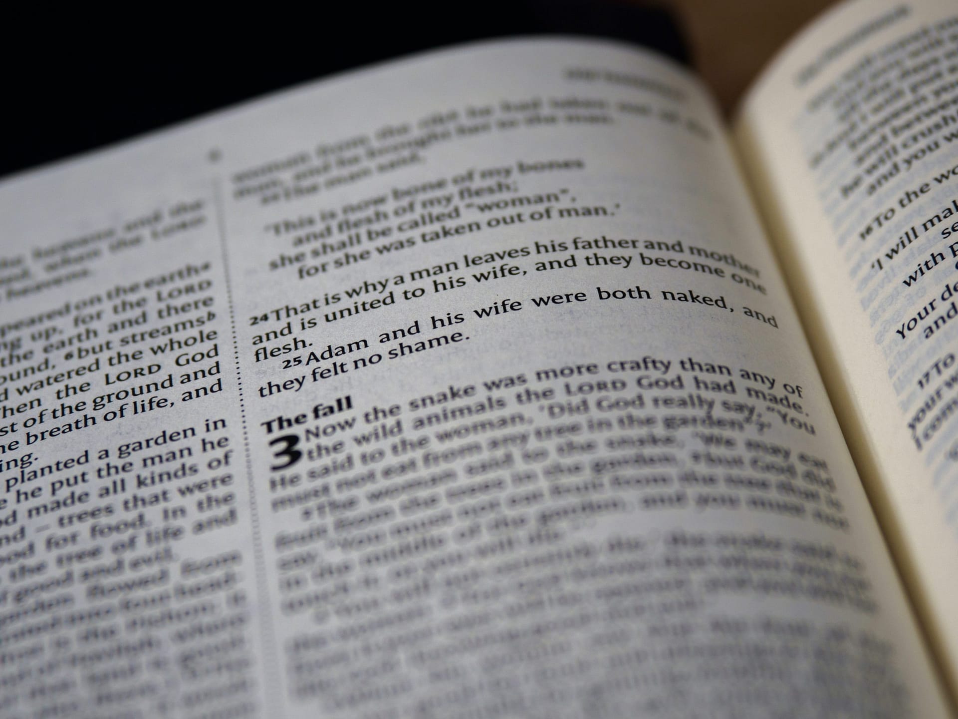 Bible Contradictions Explained Into Christianity